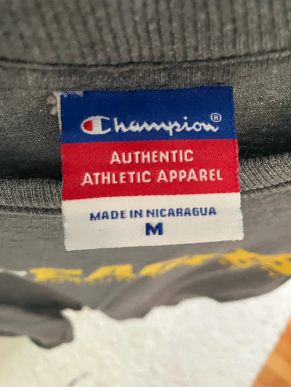 Champion Gray ERAU EAGLES Short Sleeve Graphic Tee - Picture 2 of 2
